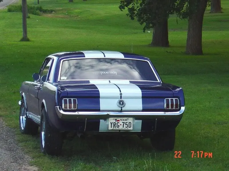 classicstang12.webp