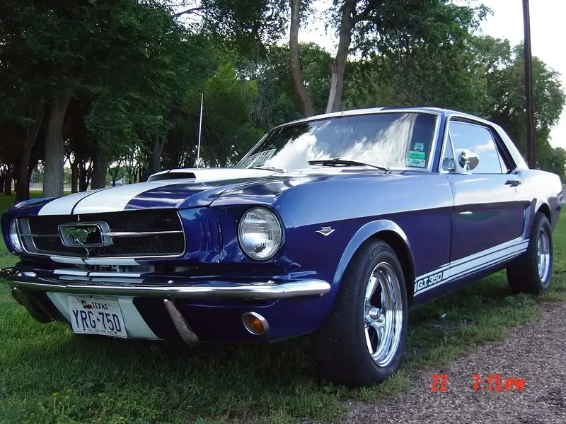 classicstang13.webp