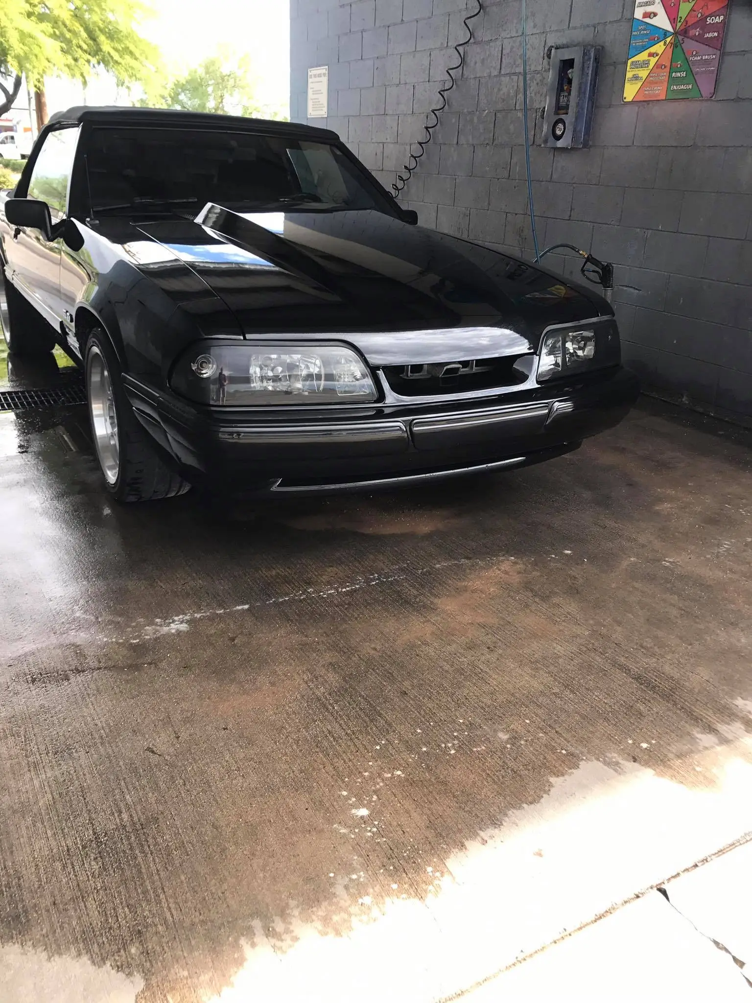 clean front.webp