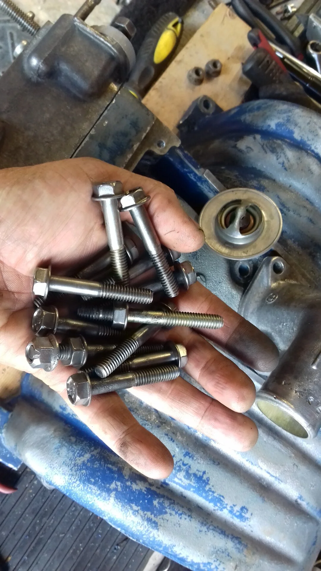 cleaned bolts.webp
