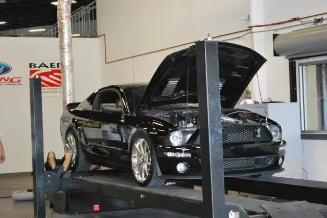 clubdyno023.webp