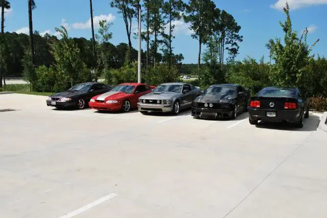clubdyno044.webp