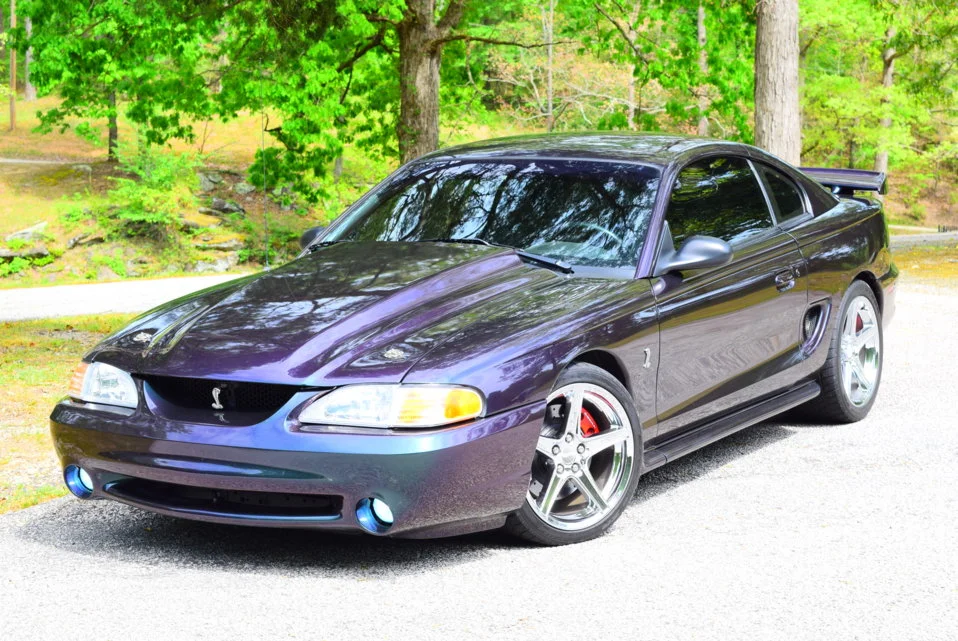 cobra 027.webp