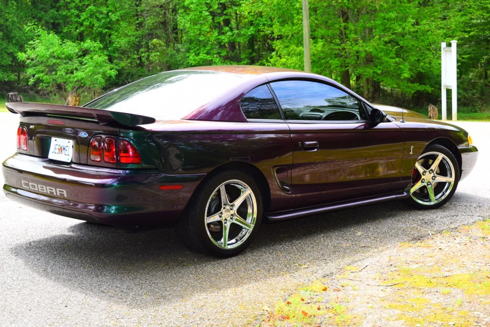 cobra 032.webp