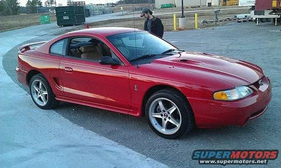 cobra-1.webp