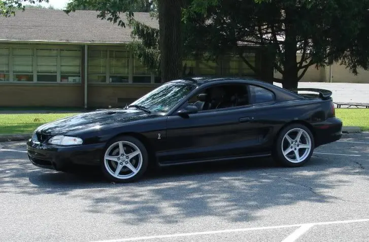 Cobra-1.webp