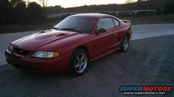 cobra-2.webp