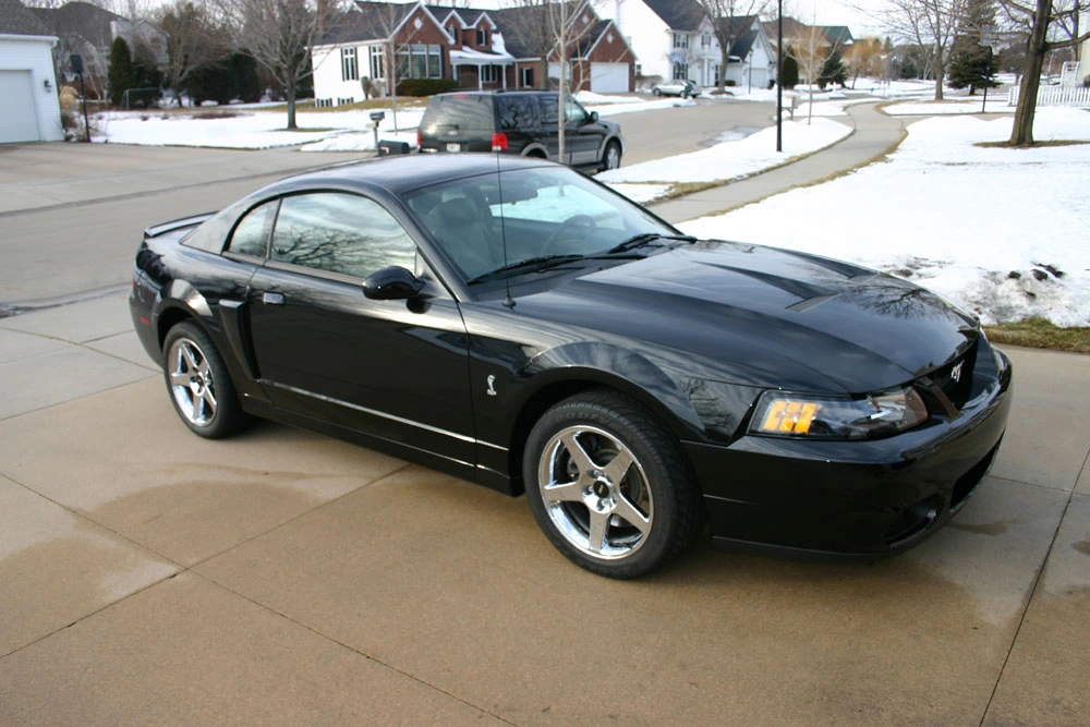 Cobra 2.webp
