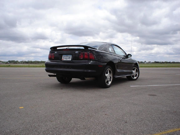 Cobra%20001.webp