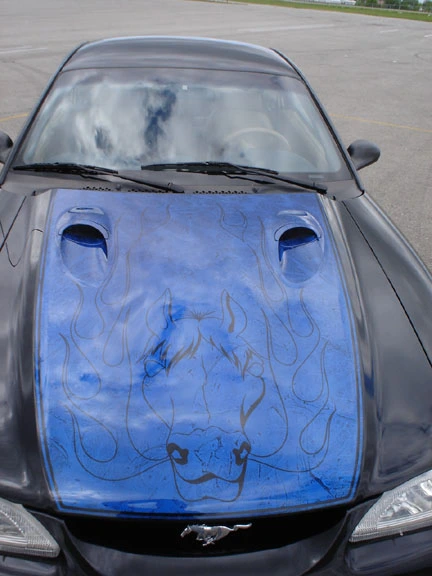 Cobra%20003.webp