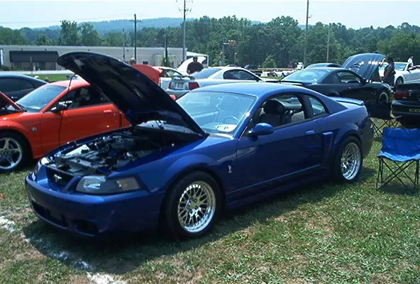 Cobra-ccw.webp