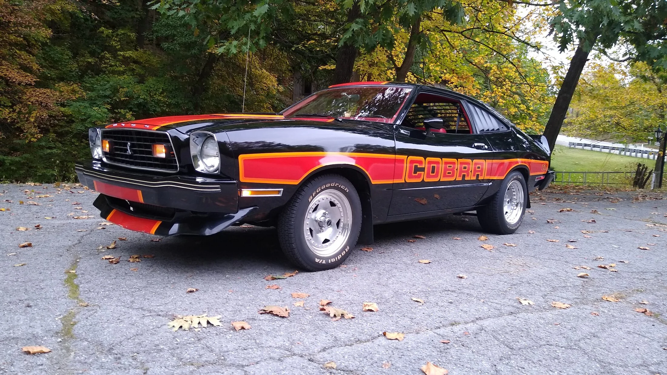 Cobra Front.webp