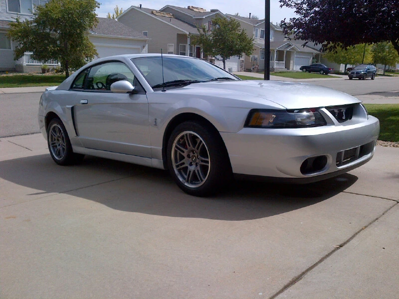Cobra pass side.webp