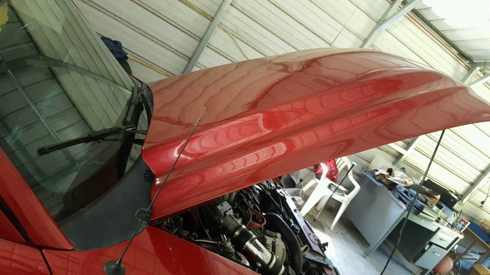 cobra R hood.webp