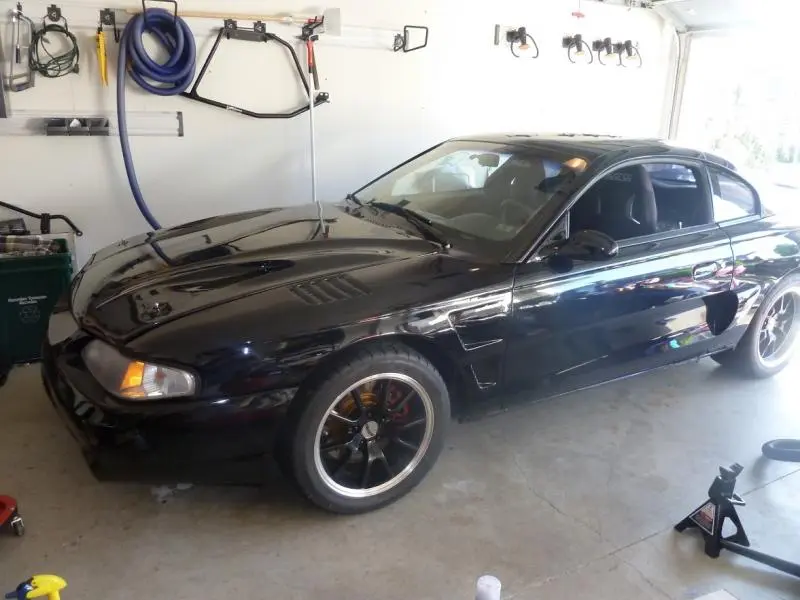 cobra.webp