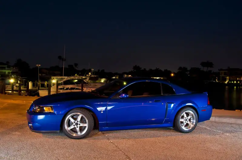 cobra.webp