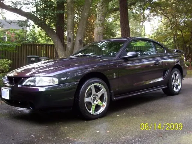 cobra.webp