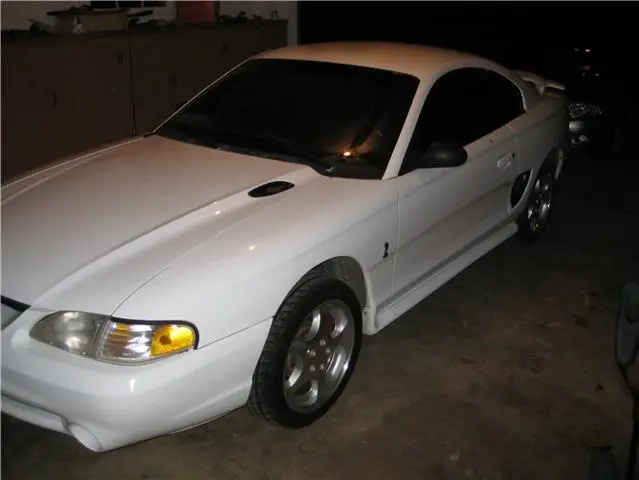 cobra.webp