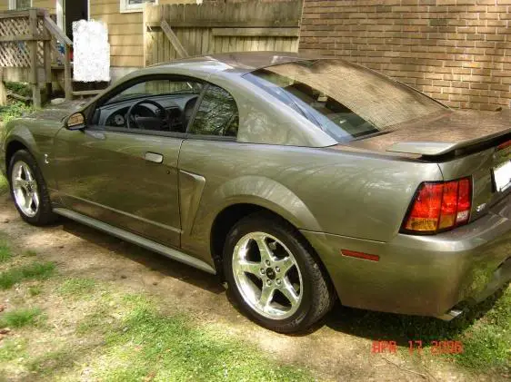 Cobra.webp