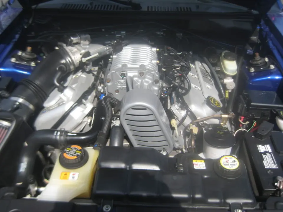 Cobra005.webp