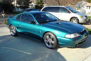 Cobra005.webp