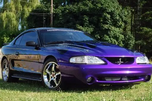 COBRA01.webp
