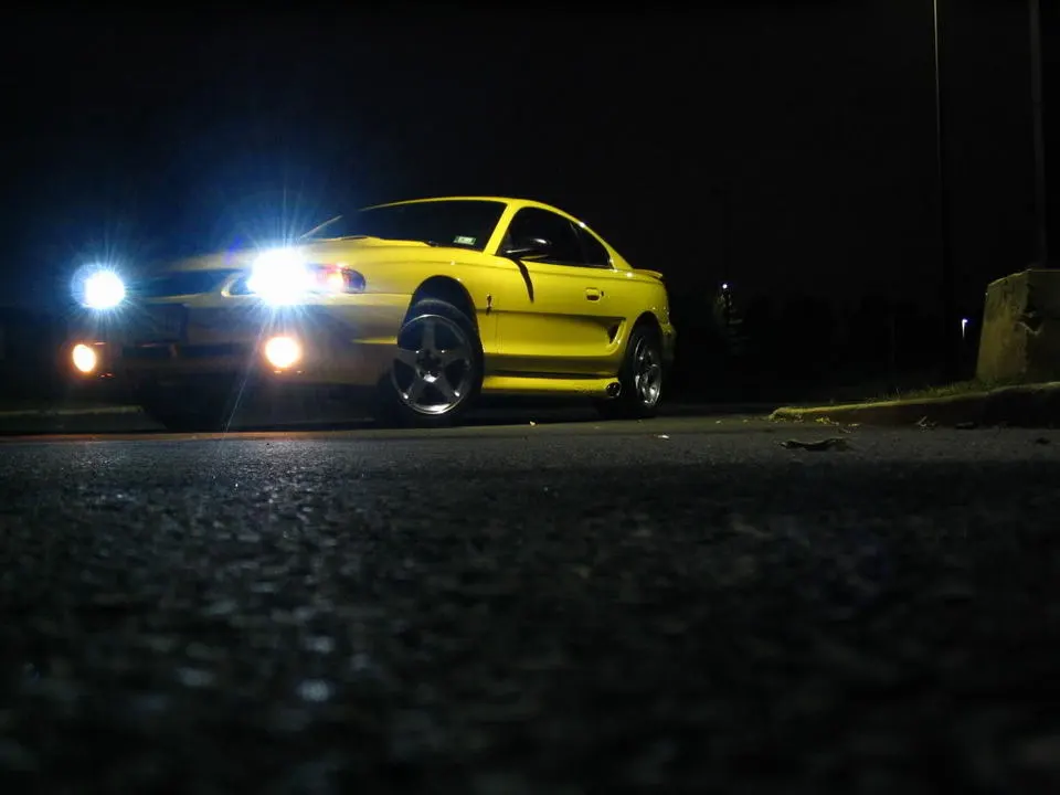 cobra013.webp