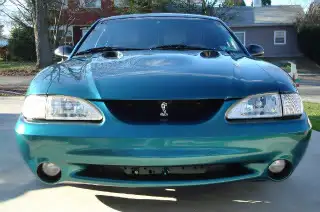 Cobra014.webp