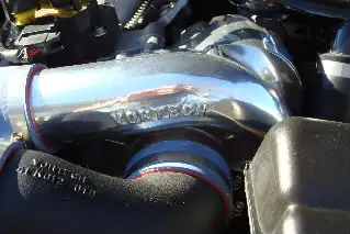 Cobra016.webp