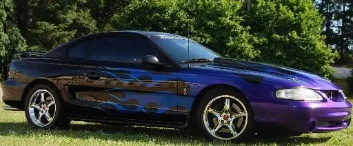COBRA02.webp