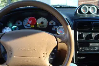 Cobra025.webp