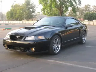 Cobra065.webp