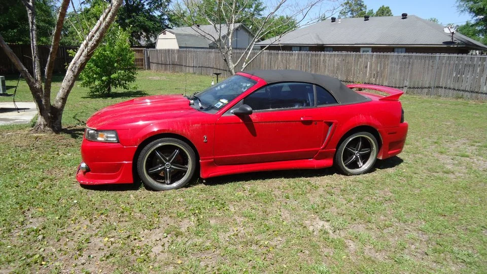 cobra1.webp