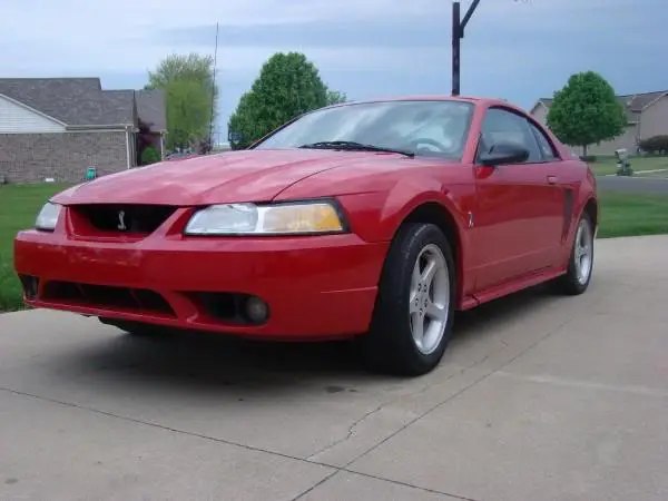 cobra1.webp