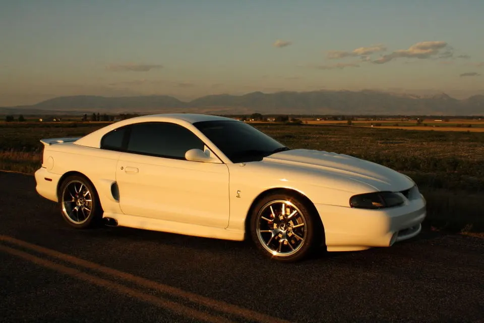 coBRA1.webp