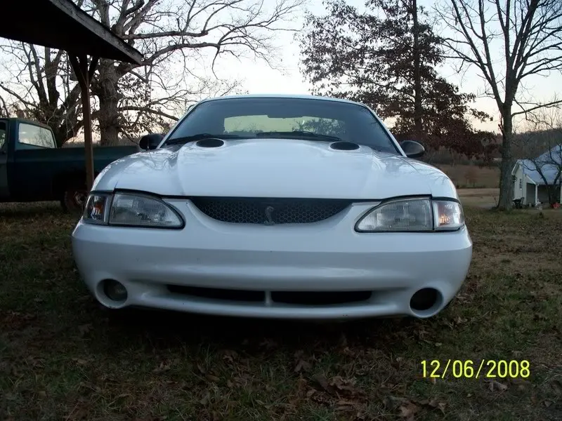 cobra1.webp