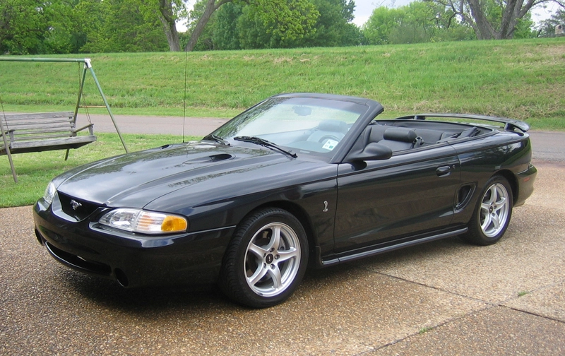 cobra1.webp