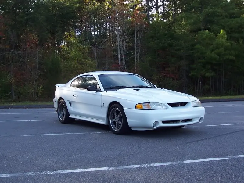 Cobra1.webp