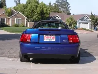 Cobra1.webp