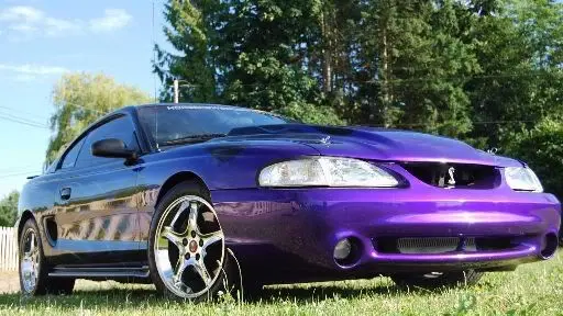 COBRA12.webp