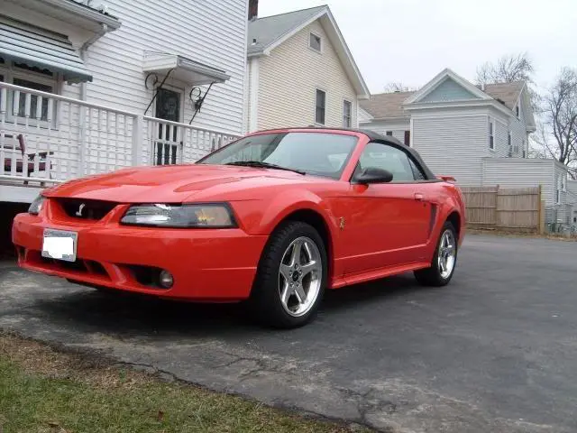 cobra1_001.webp