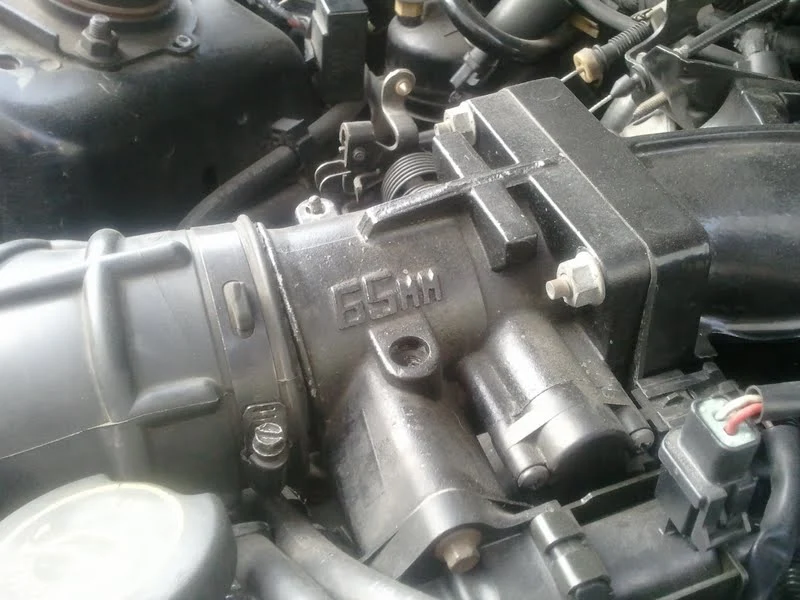 cobra1a.webp