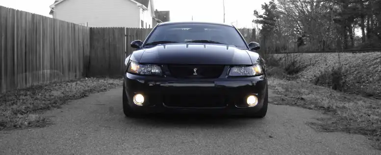 cobra1M1.webp