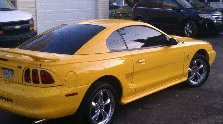 COBRA2.gif