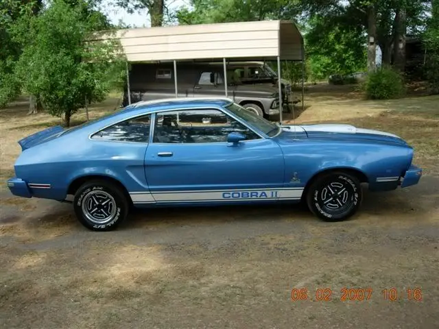 cobra2.webp