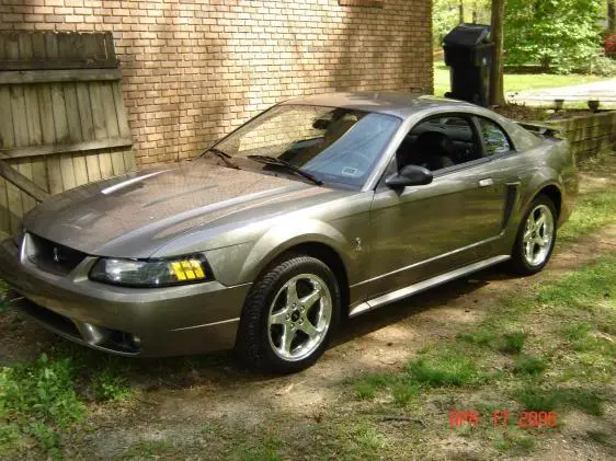 Cobra2.webp