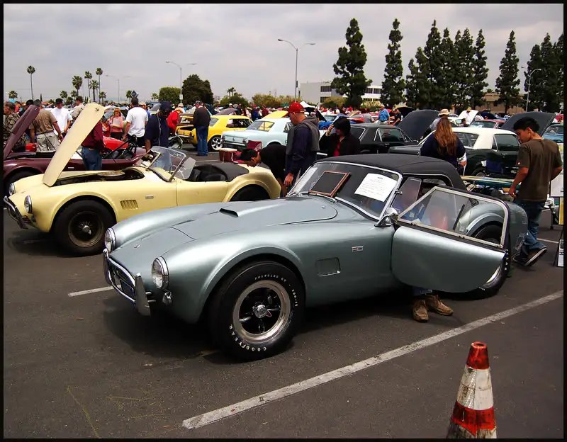 cobra2.webp