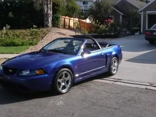 Cobra2.webp