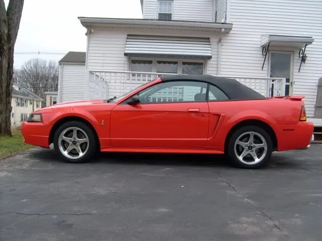cobra2_001.webp