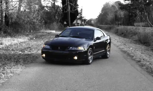 cobra2M1.webp